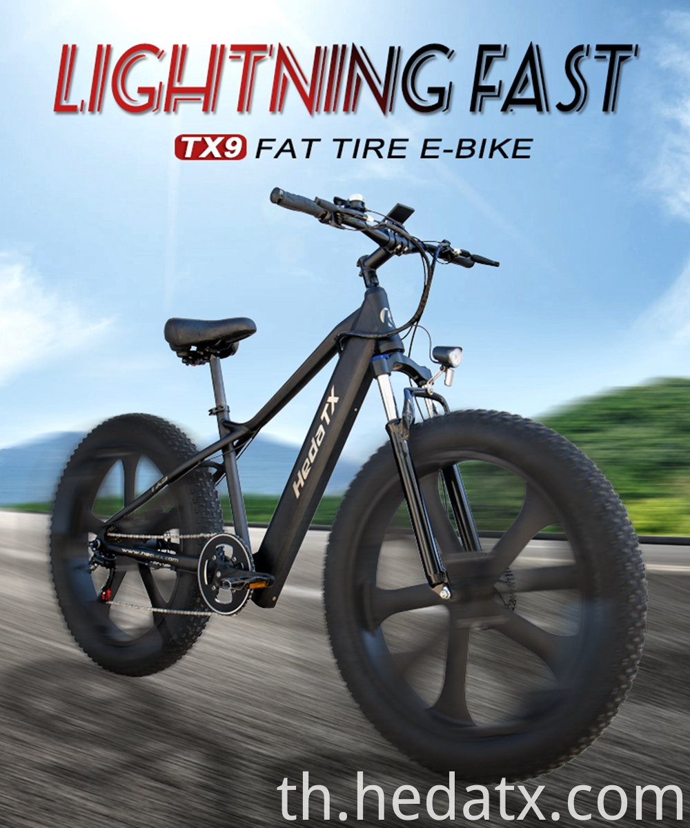 Fat Tire Electric Bicycle With Good Shock Absorption